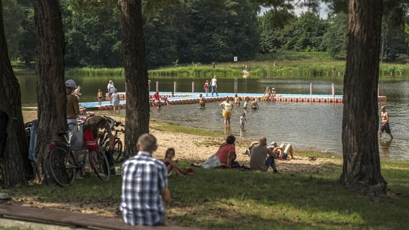 Zaskakujące wyniki wyborów w Jedlni Letnisko – kto zdobył władzę?