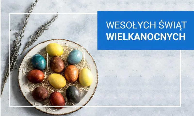 Cele i plany prezydenta miasta