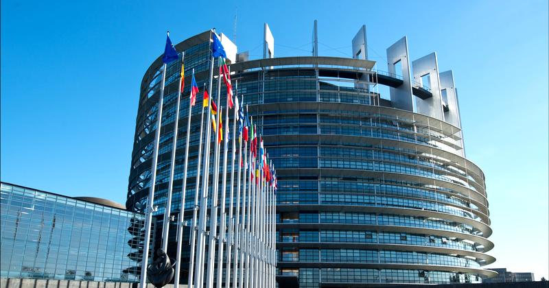 Cykl wyborczy europosłów