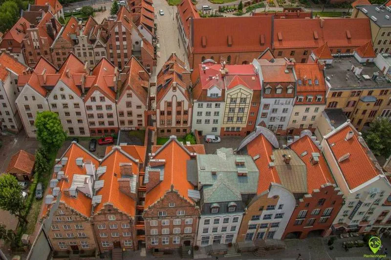 Frekwencja wyborcza Elbląg