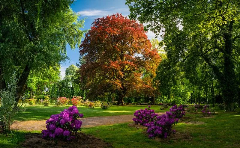 Głosowanie w wyborach