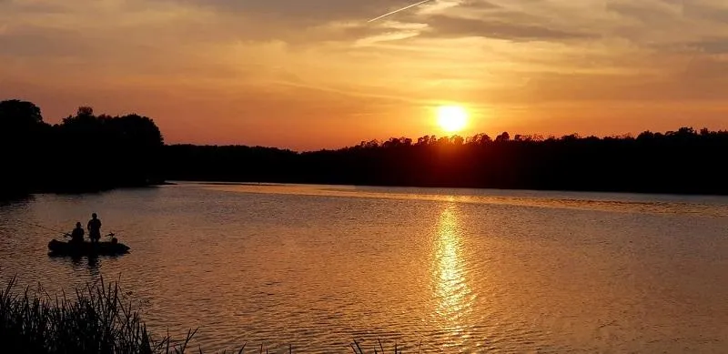 Nowe twarze w polityce Jedlnia Letnisko