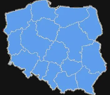 Organizacja wyborów samorządowych