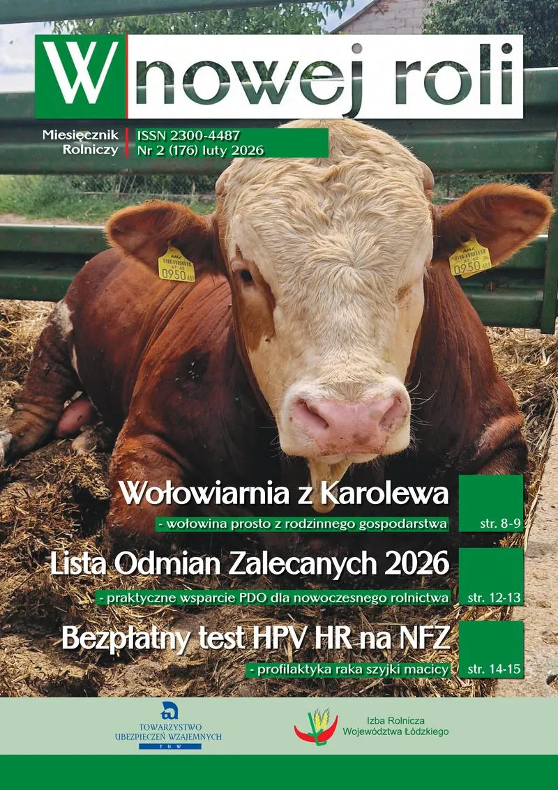 Prognozy polityczne i scenariusze