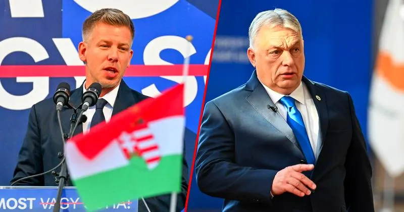 Sondaże wyborcze