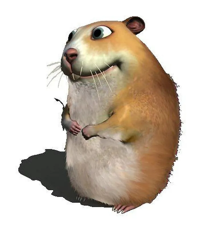 Strategie wyborcze z pomocą chomikuj