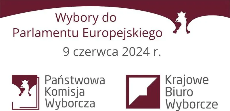Wybory do europarlamentu