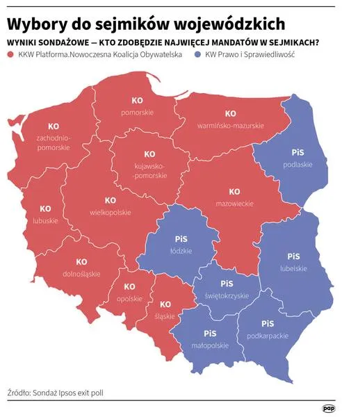 Wybory samorządowe