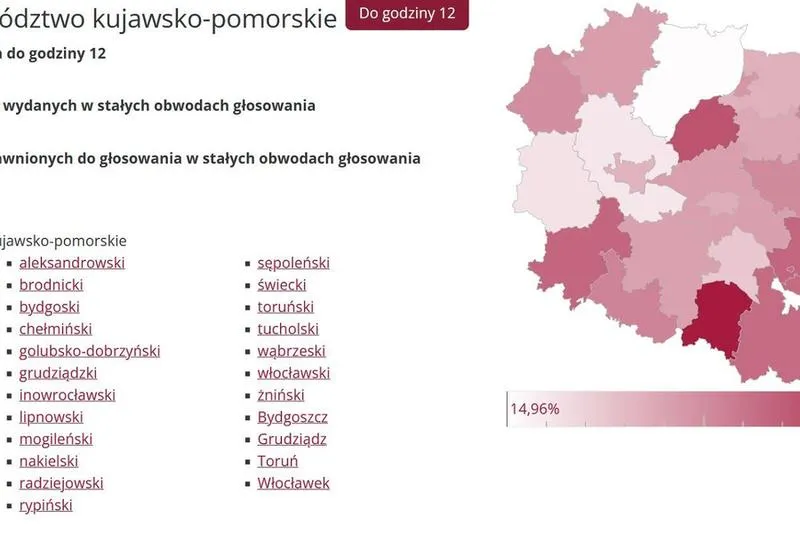 Wybory samorządowe