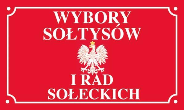 Wybory sołtysa