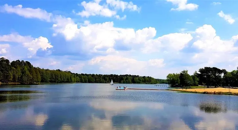 Wyniki wyborów Jedlnia Letnisko