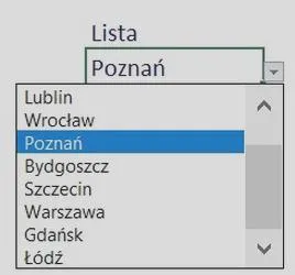 Zaawansowane opcje Excel